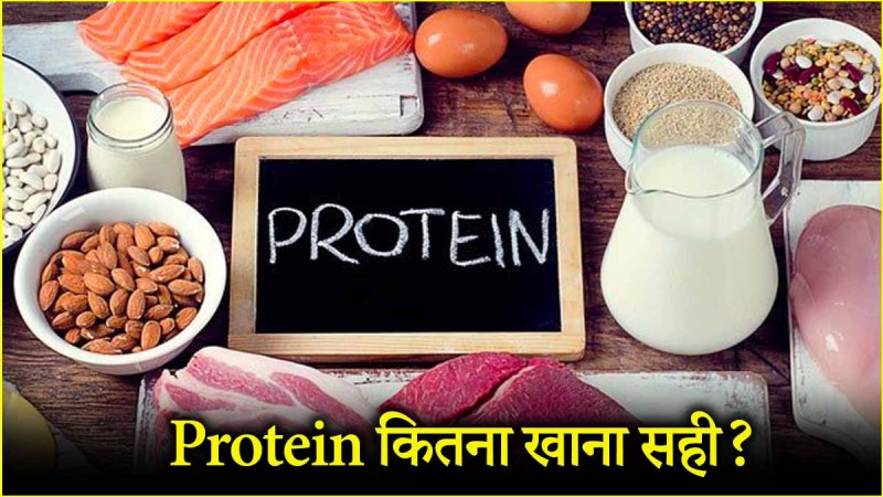 Protein Diet Tips