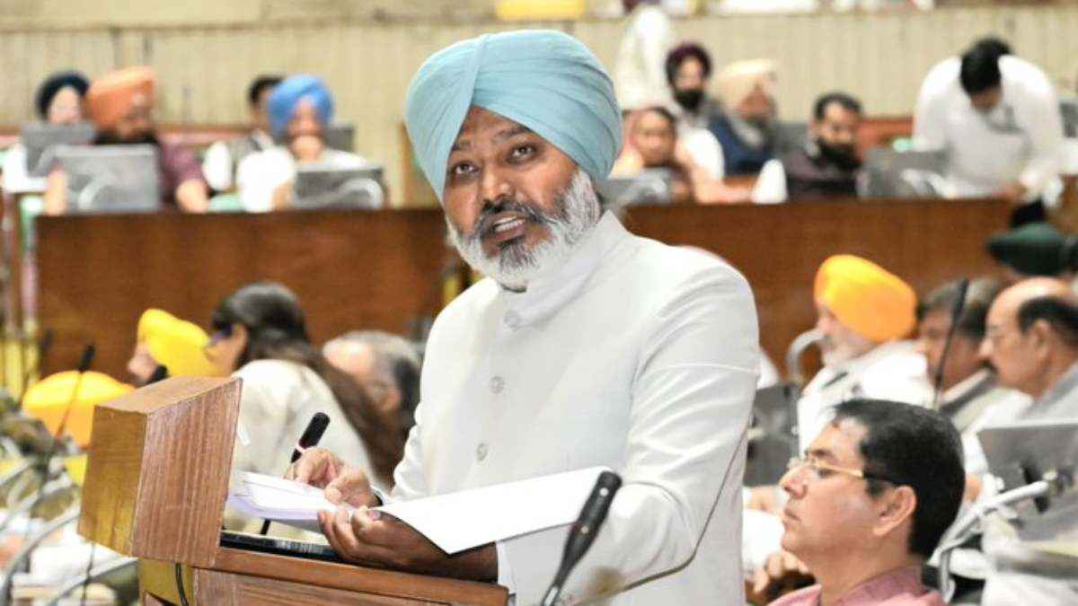 Punjab Budget 2025 (3)