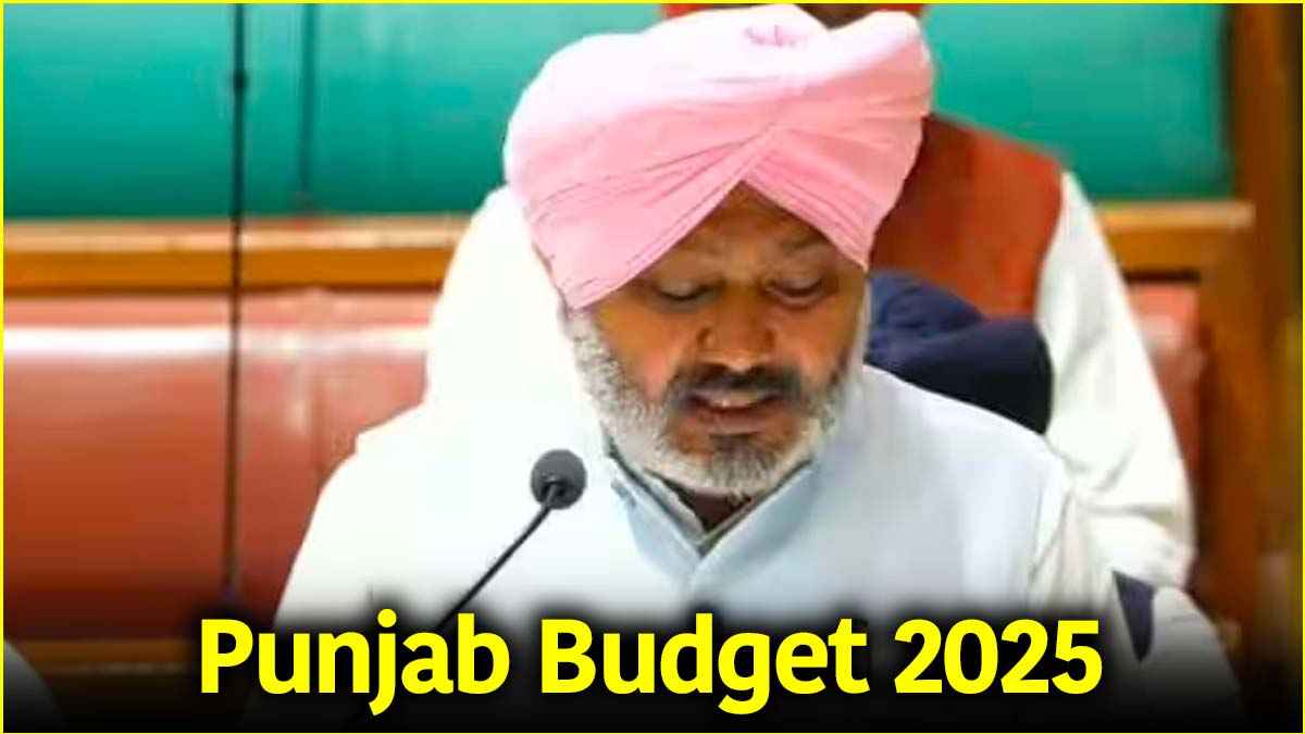 Punjab Budget