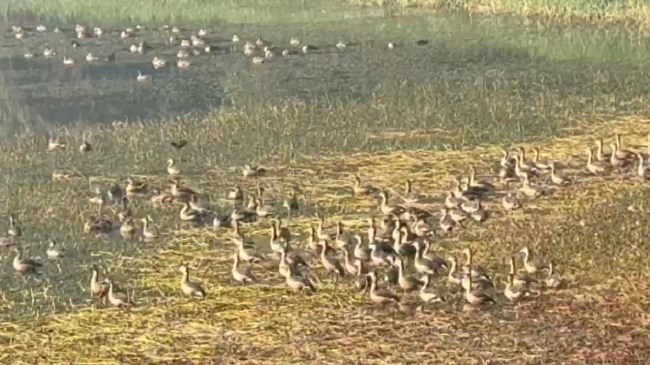 Rajdhani Jalashay in Patna Rajdhani Jalashay in Patna