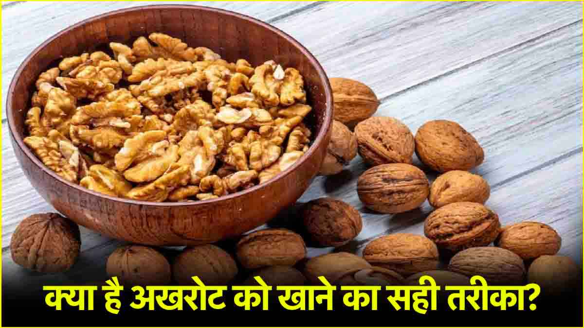 Walnut Benefits: दिमाग को तेज करने के लिए इन 3 तरीकों से खाएं अखरोट, कोलेस्ट्रॉल भी रहेगा कंट्रोल