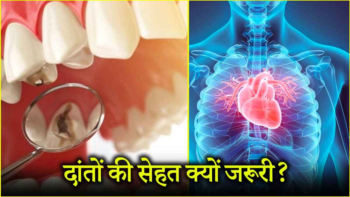 World Oral Day 2025: हेल्दी बॉडी के लिए क्यों जरूरी सही ओरल हाइजीन, एक्सपर्ट से जानें टिप्स