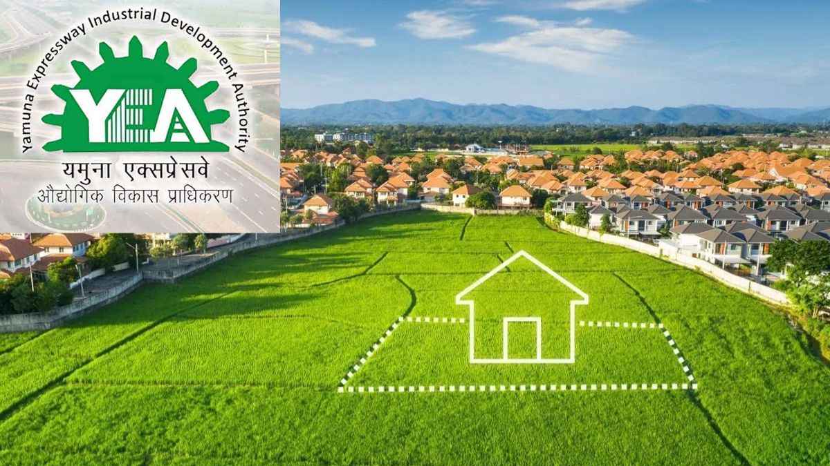 Yamuna Authority
