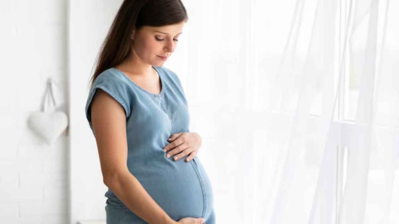 Pregnancy Care Tips: इन्फेक्शन से बचने के लिए इन 3 बातों का रखें ध्यान, जानें क्या कहते हैं एक्सपर्ट  