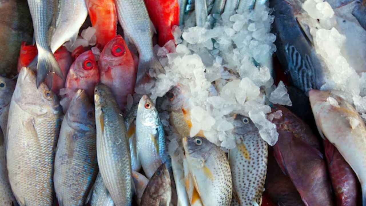 कैसे पता करें मछली ताजी है या बासी? जानें चेक करने का तरीका