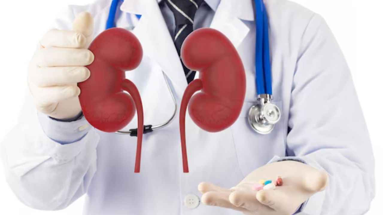 किडनी को हेल्दी रखने के लिए अपनाएं ये आदतें, जानें क्या कहते हैं एक्सपर्ट  