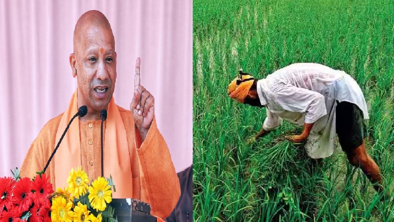 Yogi and Farmer