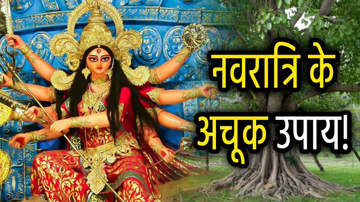 Chaitra Navratri 2025: नवरात्रि में घर के दरवाजे पर बांध दें इन 5 पौधों की जड़ें, नहीं रहेगी धन की कमी!