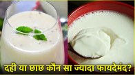 Curd vs Buttermilk