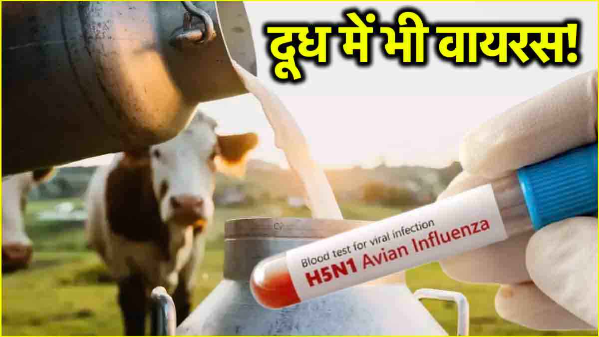 h5N1 bird flu
