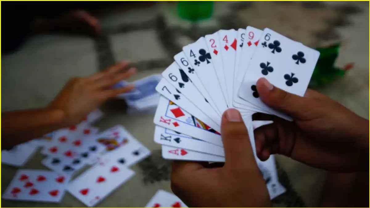 जूनागढ़ के रिसॉर्ट में चल रहा था जुए का अड्डा; 55 जुआरी गिरफ्तार, 28 लाख कैश बरामद
