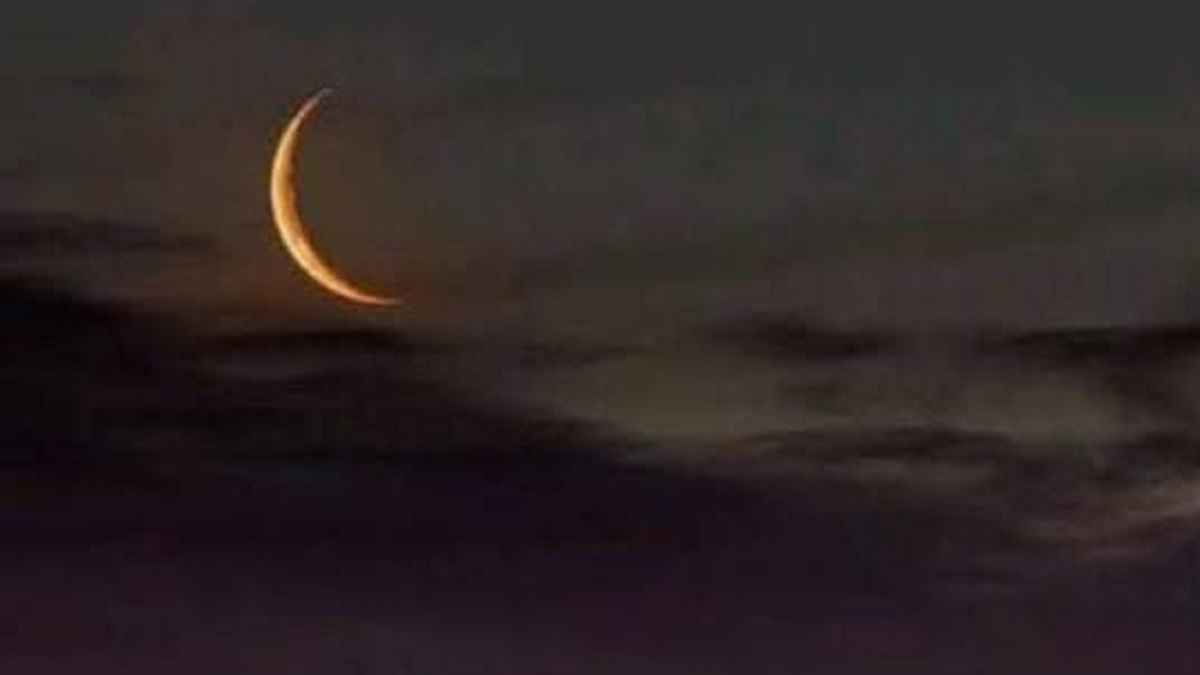 moon moon