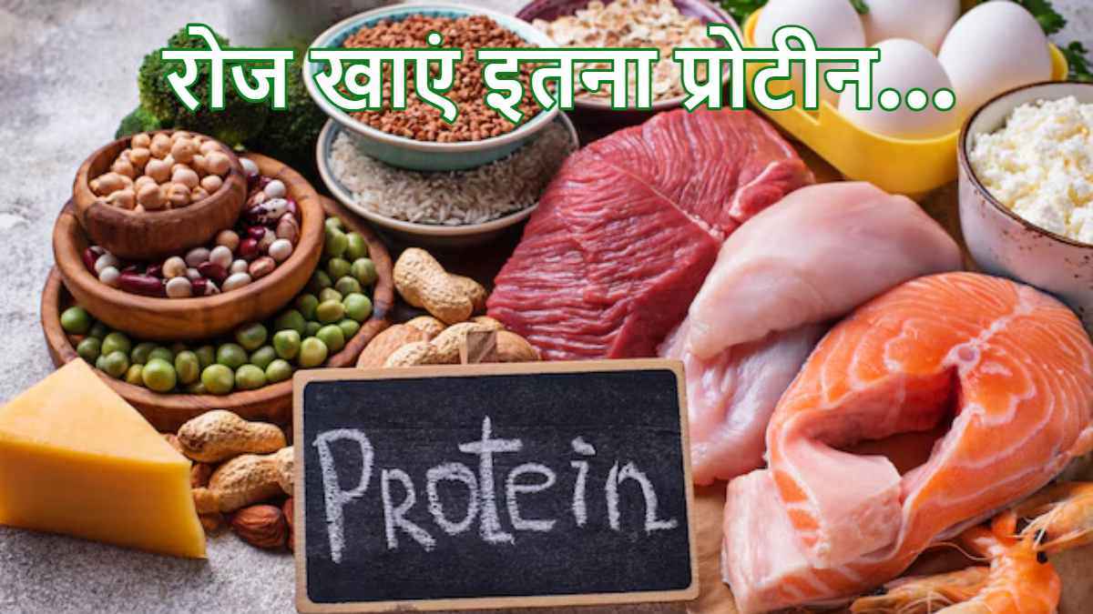 नाश्ते में प्रोटीन होना क्यों जरूरी? महिलाएं रखें इस बात का ख्याल