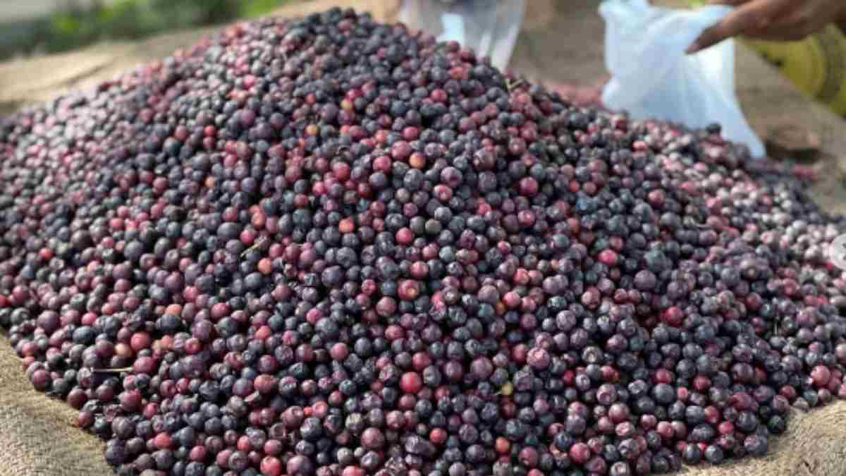 Healthy Summer Fruits Healthy Summer Fruits-1-2