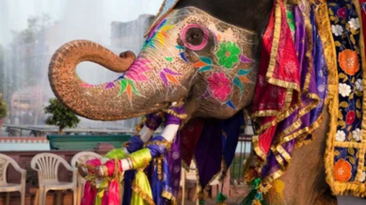 holi types holi types-1-2-3-4-5-6