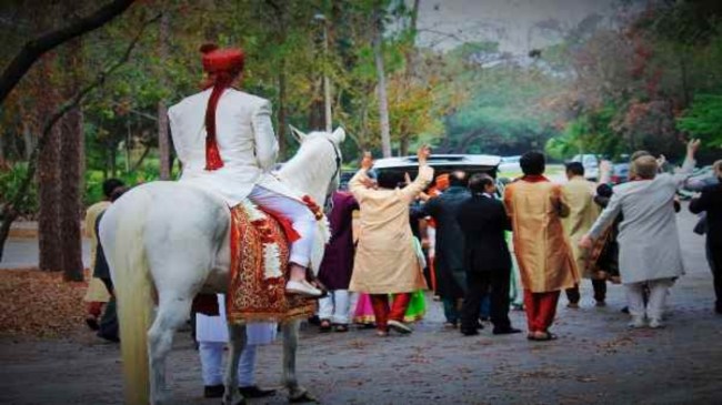 Rajasthan Wedding Cancel News