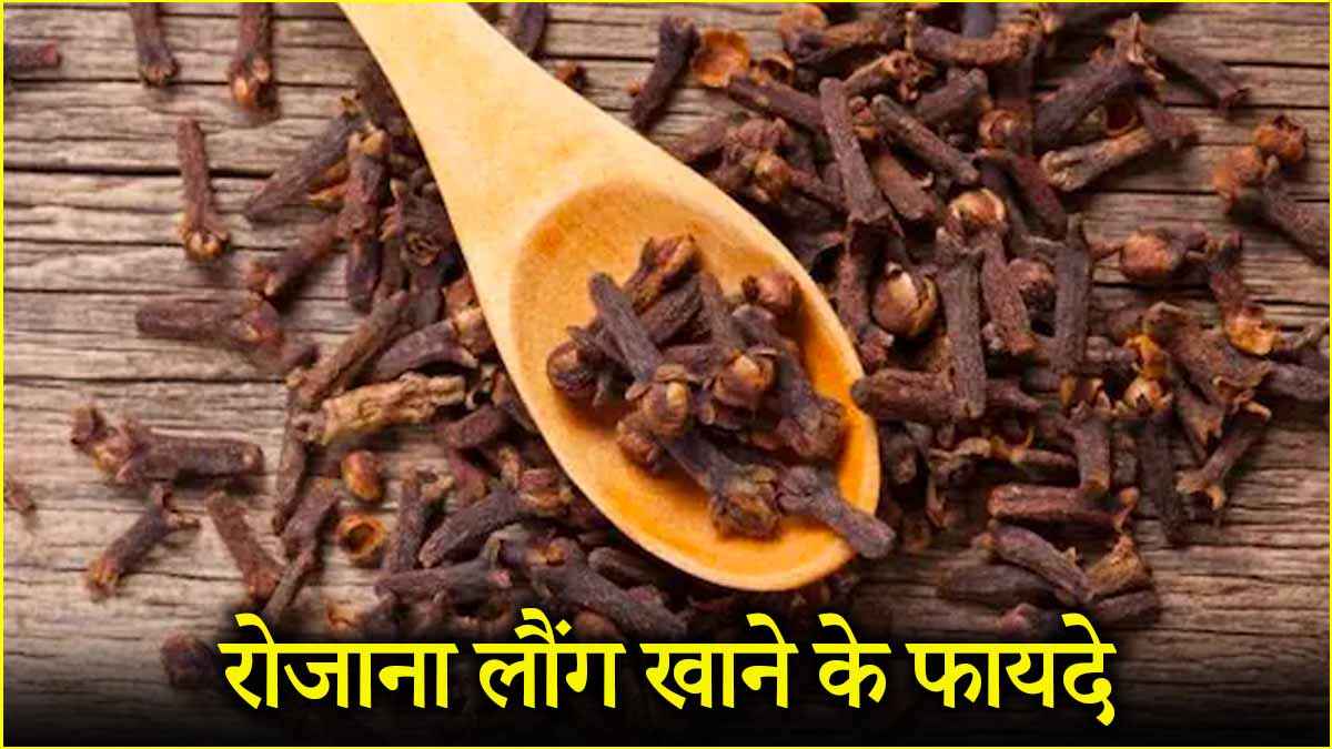 Clove Benefits: केवल माउथ फ्रेशनर नहीं, गुणों का खजाना है लौंग, जानें इसके तमाम फायदे