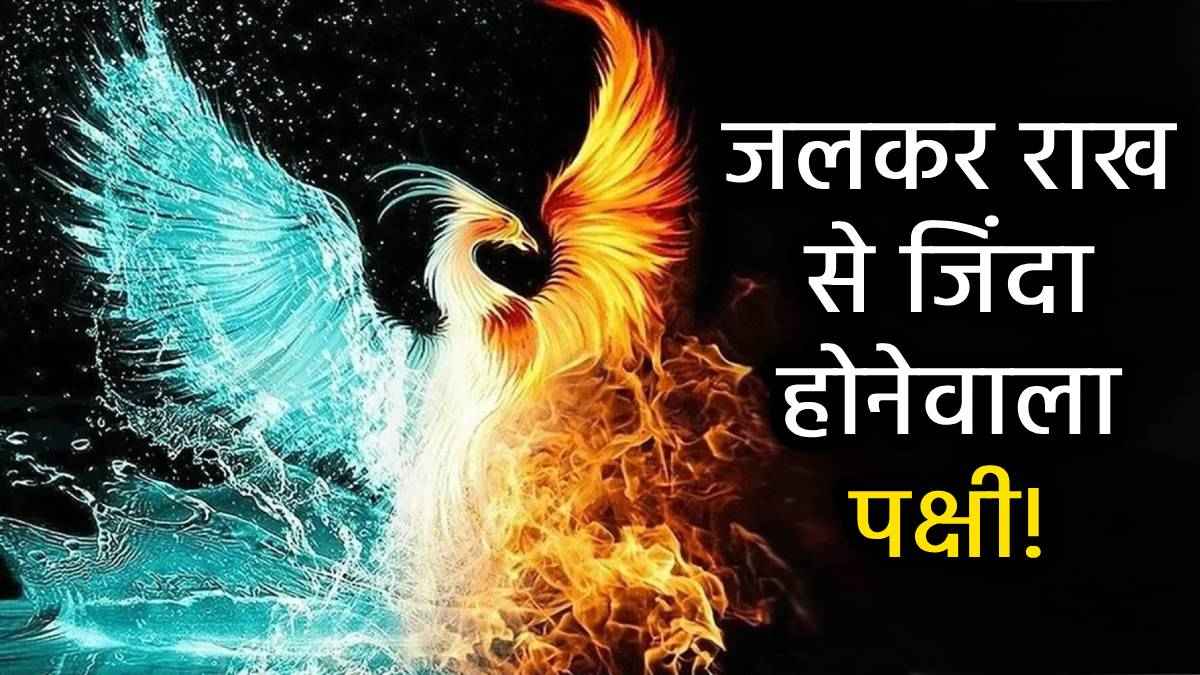फीनिक्स पक्षी की तस्वीर घर में लगाना शुभ या अशुभ, वास्तु में इसके लिए किस दिशा को माना गया है 'बेस्ट'? जानें
