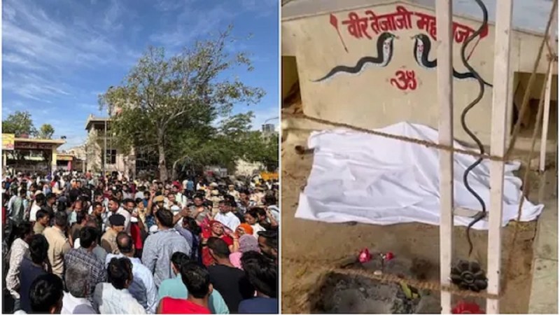 statue of Veer Tejaji Maharaj vandalised by miscreants in Jaipur