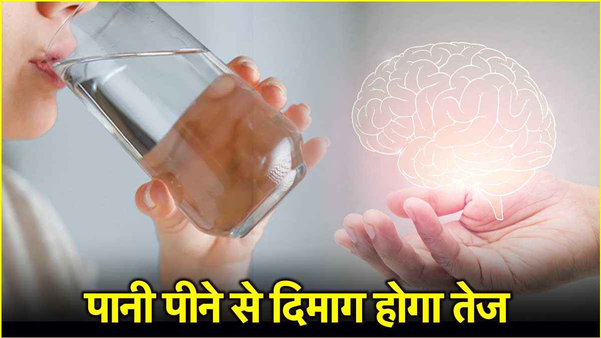 पानी पीने की टाइमिंग का दिमाग से क्या संबंध? शोध में हुआ खुलासा