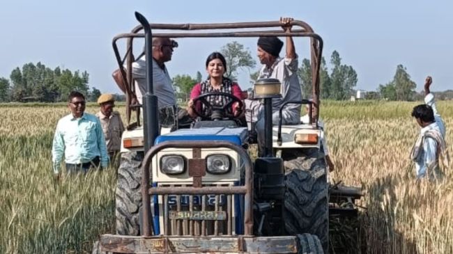 यूपी न्यूज