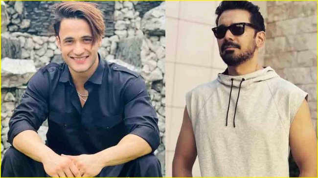 Abhinav Shukla, Asim Riaz