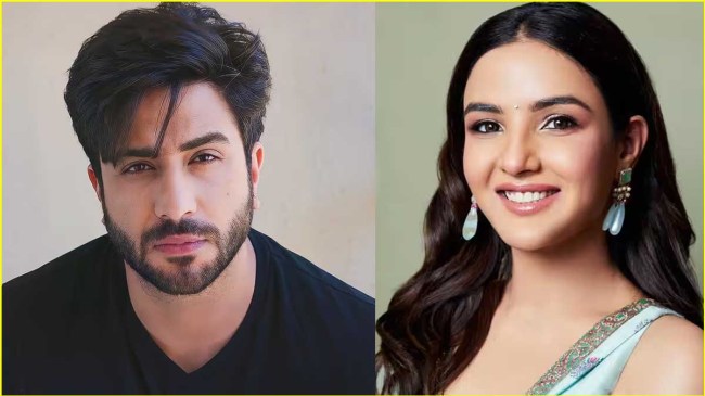 Jasmin Bhasin, Aly Goni