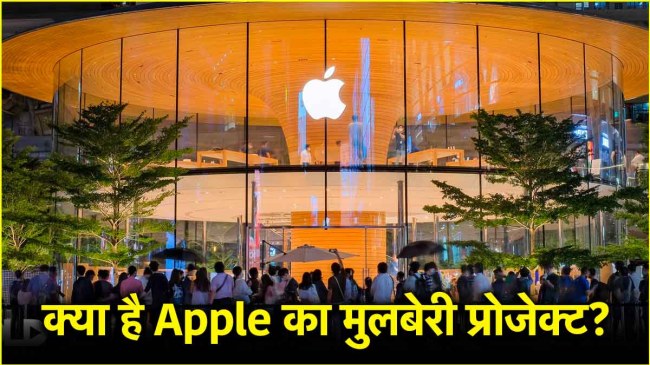 Apple Company Mulberry Project