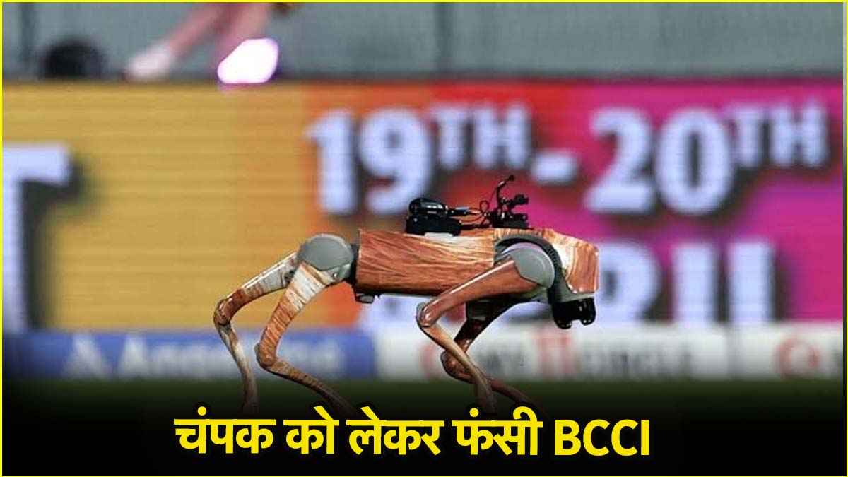 BCCI (7) BCCI (7)