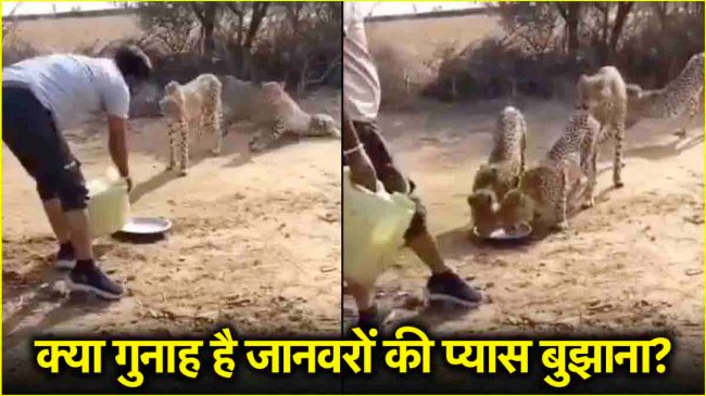 Kuno National Park Video