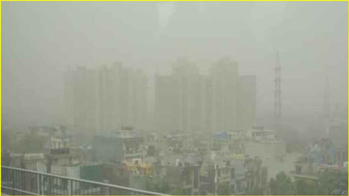 DELHI NCR