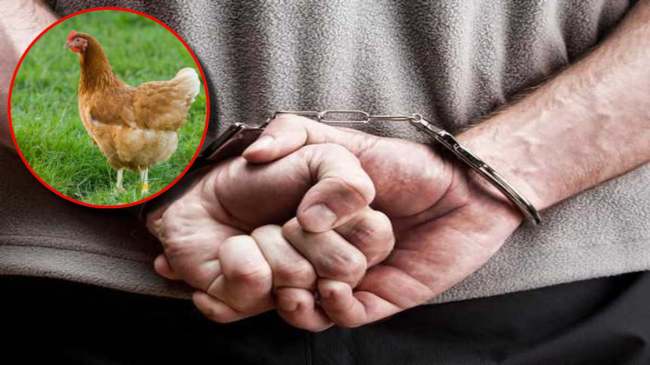 Damoh News hindi Damoh News hindi