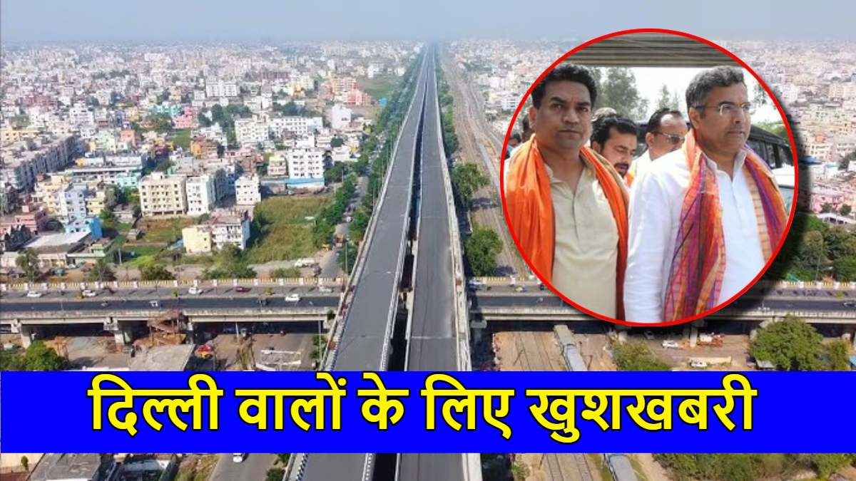 Delhi Sonia Vihar Elevated Flyover (1)