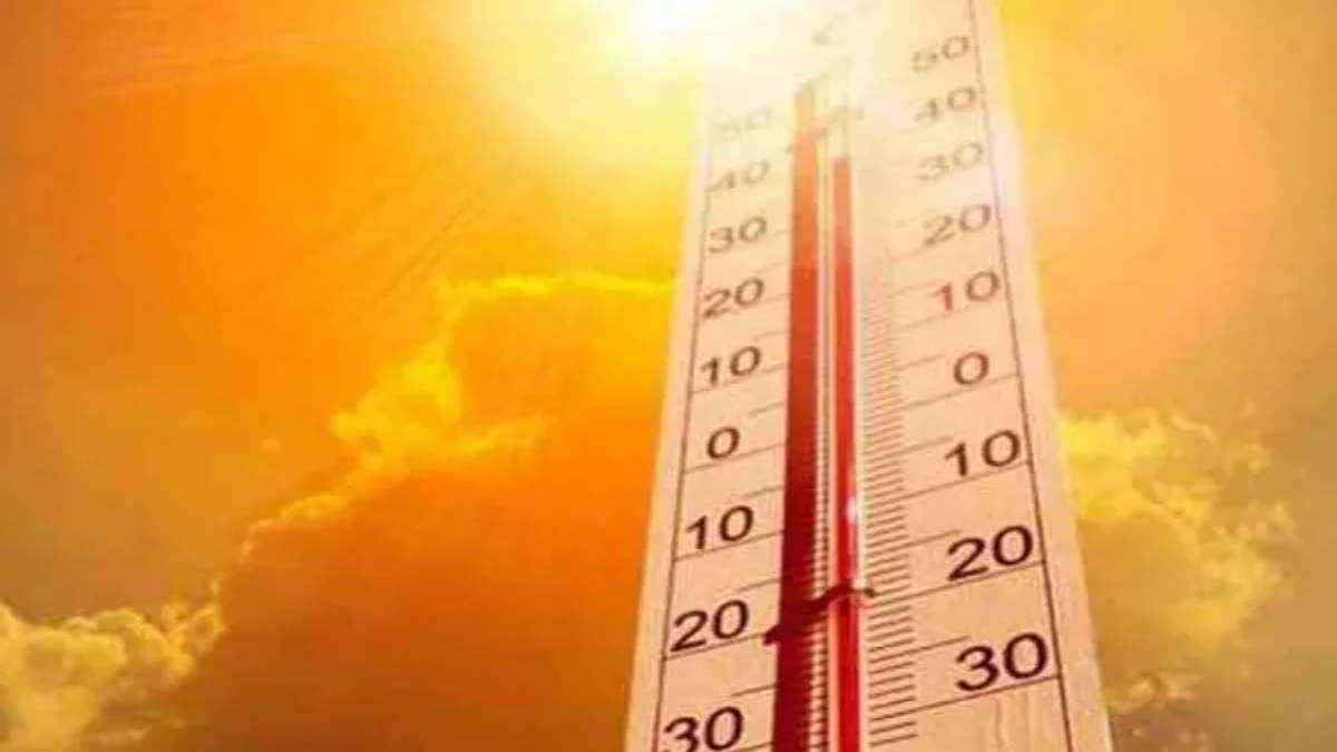Gujarat Weather Today (11)