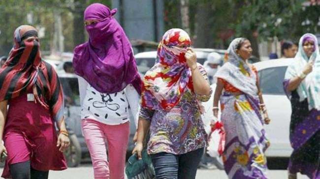 Gujarat Weather Today (15)