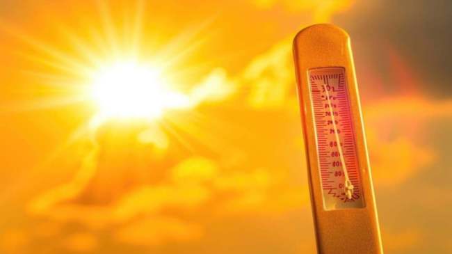 Gujarat Weather Today (18)