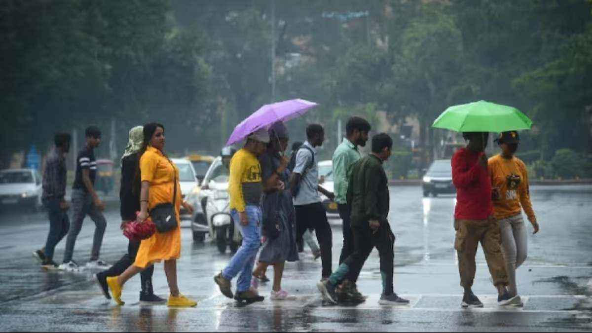 Gujarat Weather Today (8)