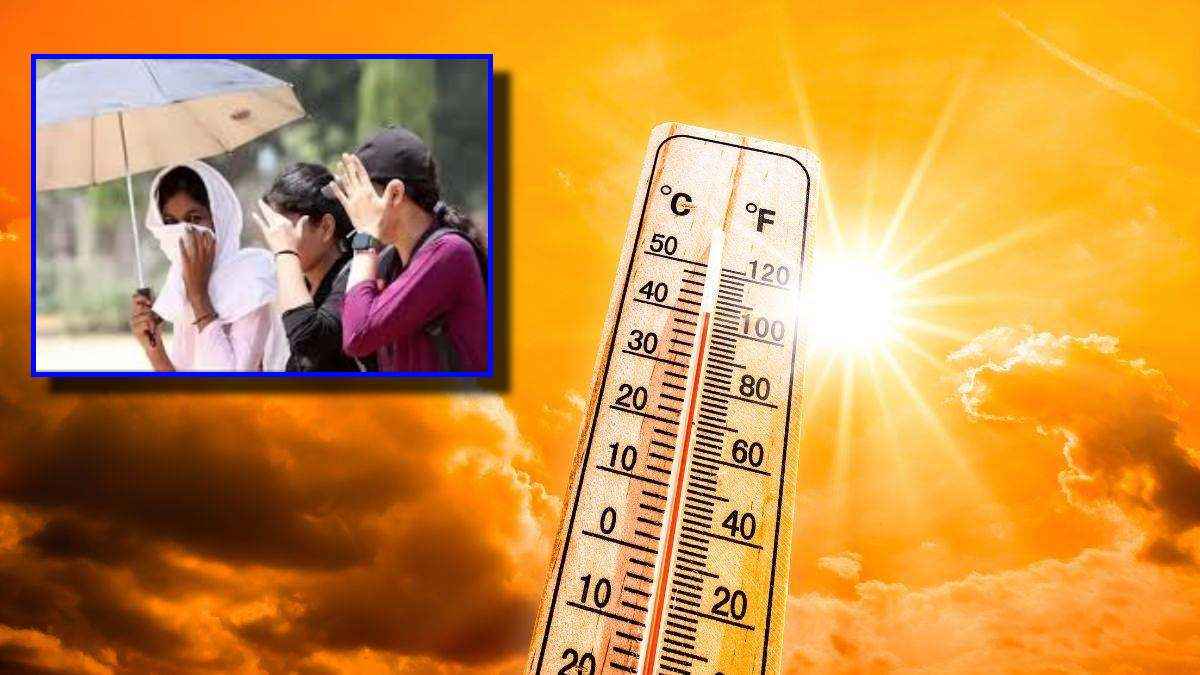 Gujarat Weather today (17)