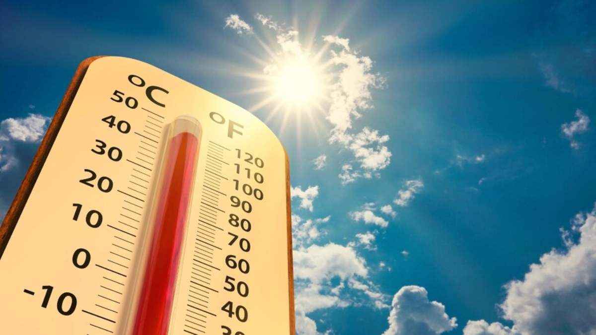 Gujarat Weather today (19)