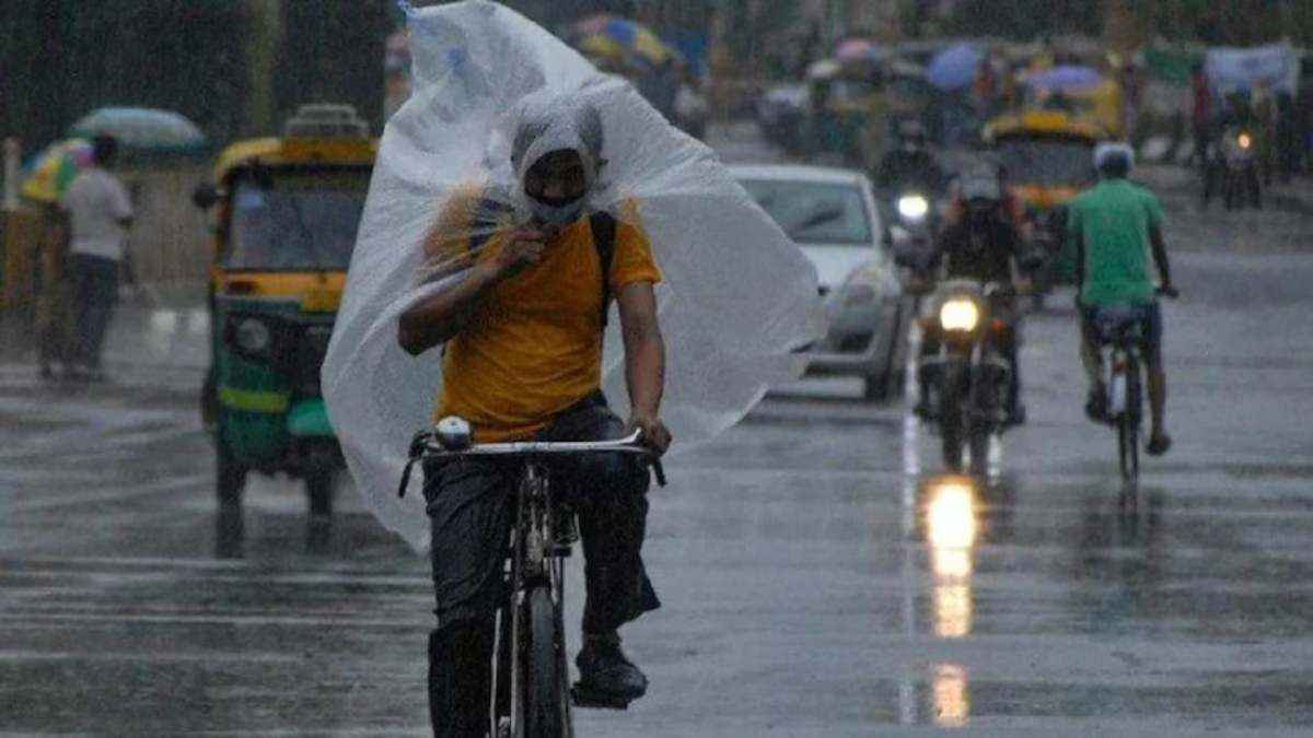 Gujarat Weather today (9)