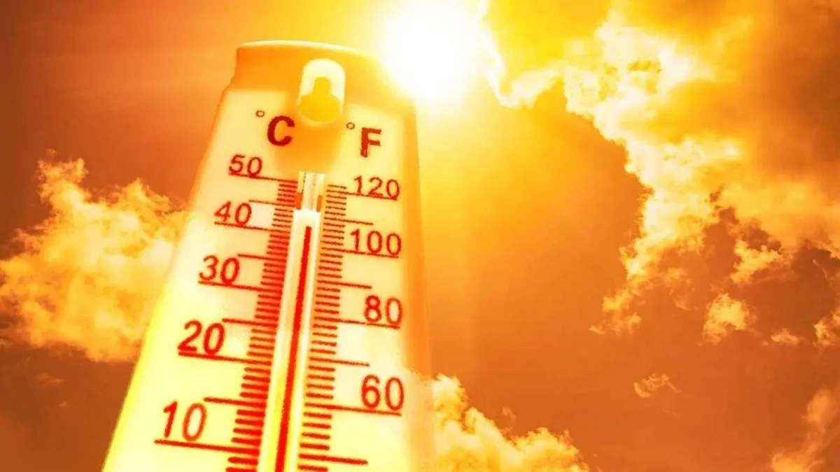 Gujarat weather today (10)
