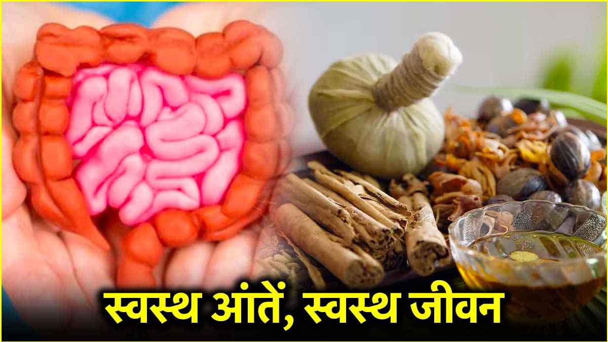 Gut Health (1)