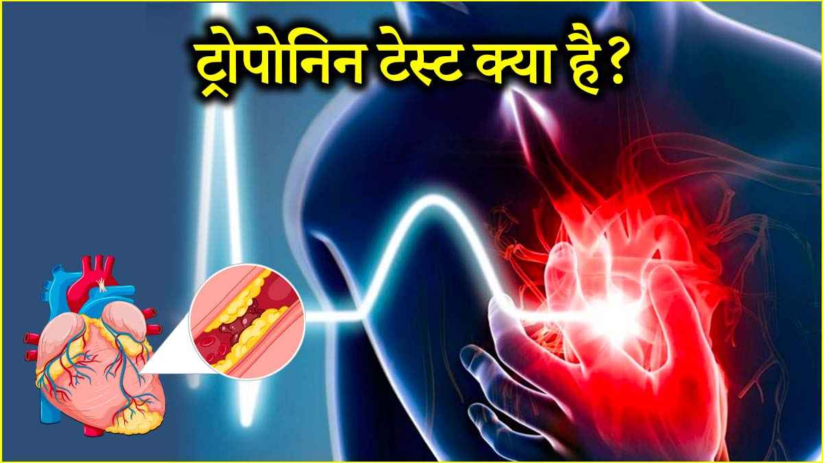 सिर्फ 500 रुपये का यह ब्लड टेस्ट बताएगा आपके दिल का हाल! नई स्टडी में हुआ खुलासा
