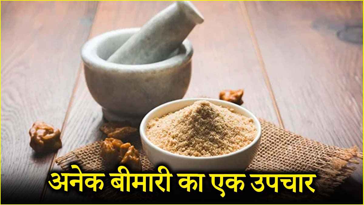 हींग...अनेक बीमारियों की एक दवा, आयुर्वेद में इसके कितने फायदे?