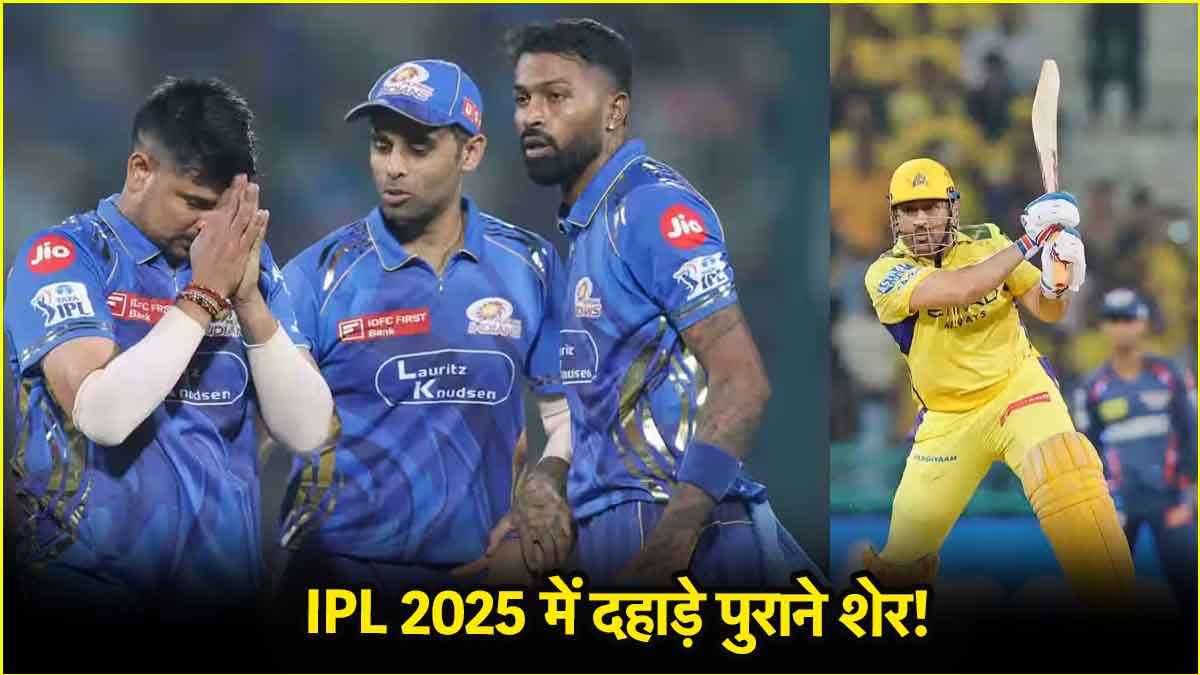 IPL 2025 में छा गए ये 5 'पुराने' सुपरस्टार! खत्म हुआ सालों का इंतजार