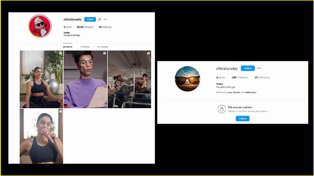 Ranbir Kapoor नहीं, तो फिर कौन हैं Vaddy? इंस्टाग्राम पर सीक्रेट अकाउंट के पब्लिक होते ही हुआ खुलासा