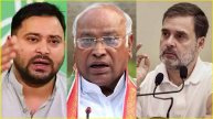 Bihar Assembly Election 2025