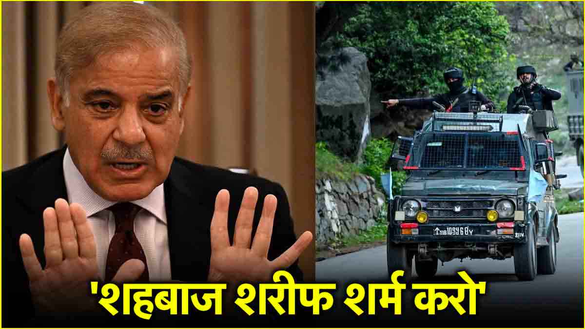 'आतंकियों को पनाह देते हो', पहलगाम को दहलाने के लिए पीएम शहबाज शरीफ जिम्मेदार! पाकिस्तानी दिग्गज ने लगाई फटकार