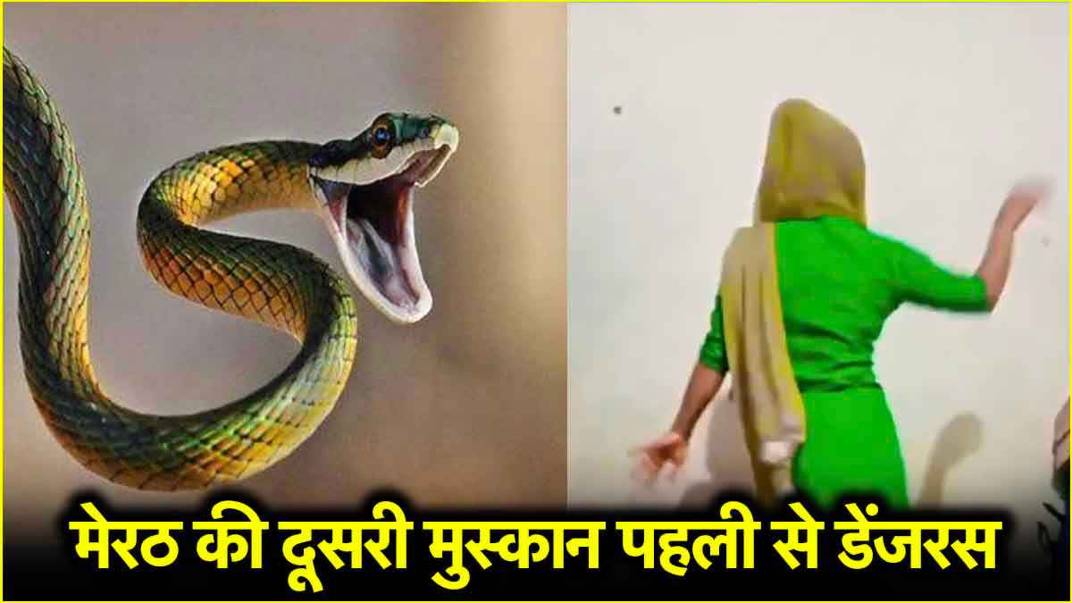 Meerut News