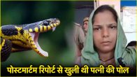 Meerut snake bite case